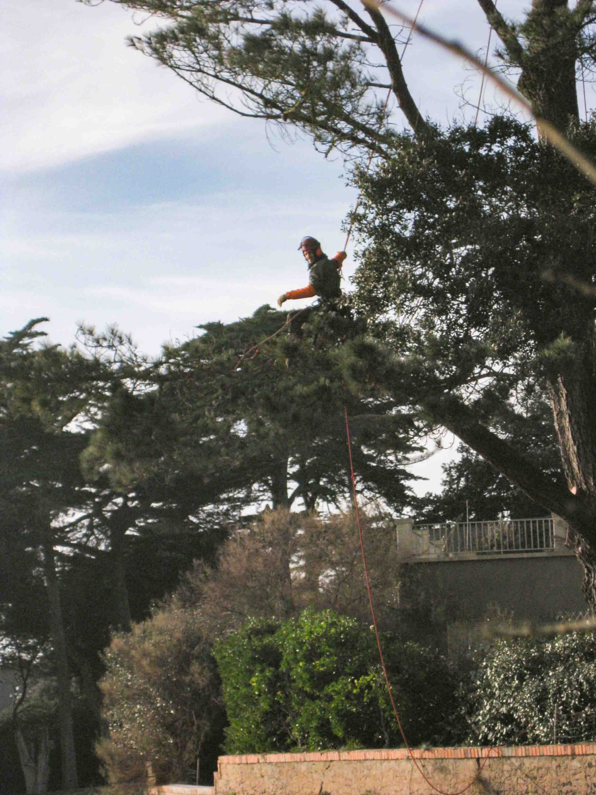 Début de parcours professionnel dans les métiers des jardins et des arbres