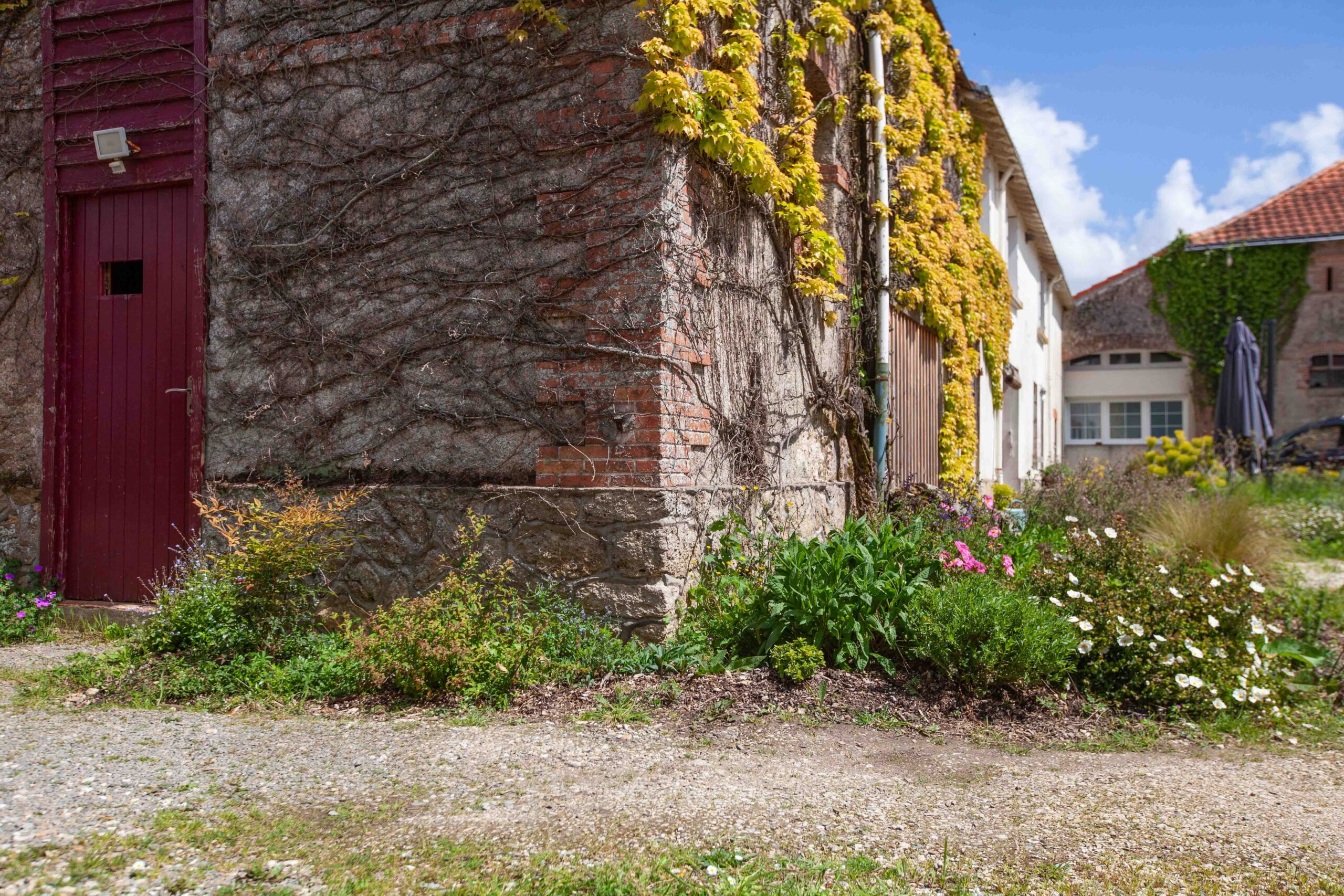 Le jardin de l'Hermitière aujourd'hui, après plusieurs années de végétalisation.
