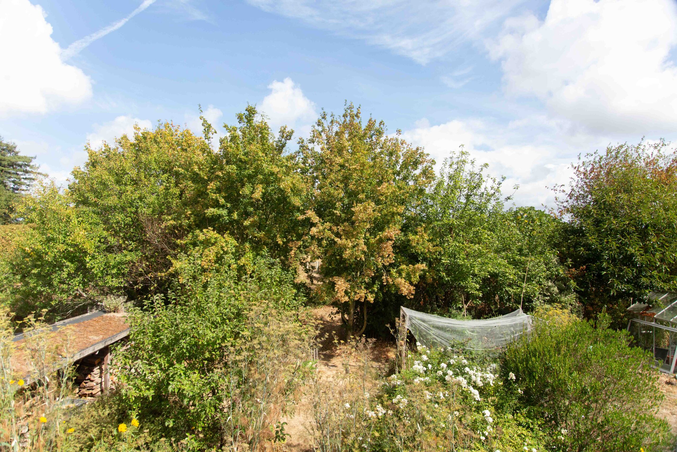 Le jardin de l'Hermitière aujourd'hui, après plusieurs années de végétalisation.