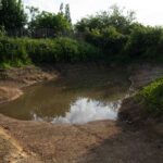 Image 4-Sol-eau végétation (1 sur 7)