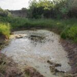 Image 4-Sol-eau végétation (3 sur 7)