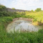 Image 4-Sol-eau végétation (4 sur 7)