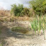 Image 4-Sol-eau végétation (6 sur 7)