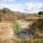 Image 4-Sol-eau végétation (7 sur 7)