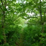 Image 7-Hermitière aujourd'hui (1 sur 15)