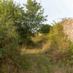 Image 7-Hermitière aujourd'hui (13 sur 15)