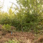 Image 7-Hermitière aujourd'hui (14 sur 15)