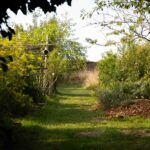 Le Jardin de l'Hermitière aujourd'hui