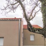 Intégration du patrimoine arboré dans les projets (1 sur 1)