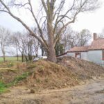 Intégration du patrimoine arboré dans les projets (1 sur 1)-3
