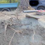Intégration du patrimoine arboré dans les projets (3 sur 3)