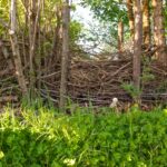 Jardin-Hermitiere-3 (10)