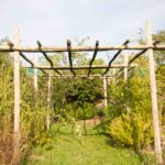 Jardin-Hermitiere-3 (2)