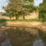 Jardin-Hermitiere-3 (5)