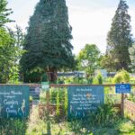 Voyage US- garden of giving (19 sur 20)