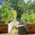Voyage US- garden of giving (6 sur 20)