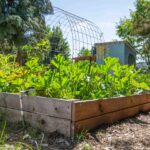 Voyage US- garden of giving (8 sur 20)