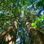 Voyage-USA-resilience et adaptation-109