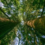 Voyage-USA-resilience et adaptation-110
