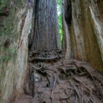 Voyage-USA-resilience et adaptation-132