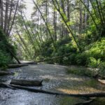 Voyage-USA-resilience et adaptation-140