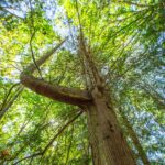Voyage-USA-resilience et adaptation-164