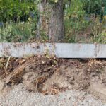emg-conseil-ecopaysagiste-intégration-patrimoine-arboré (3 sur 5)